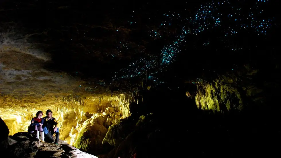 Glowworms on a cave ceiling, New Zealand