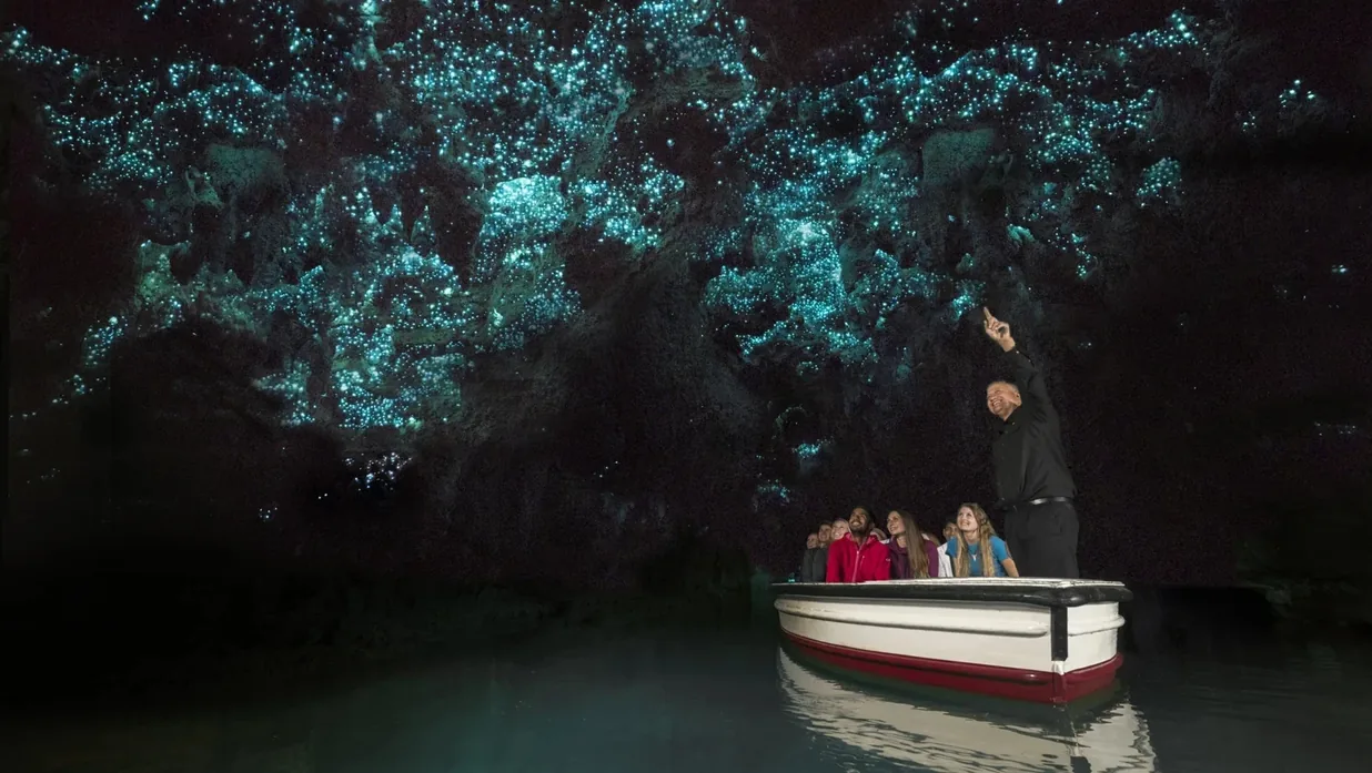 A boat through the Waitomo Glowworm Grotto