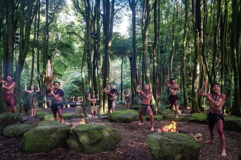 Te Pā Tū — the forest performance