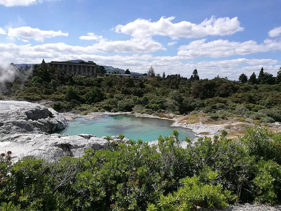 Silica terraces and hot pools in the Whakarewarewa thermal valley