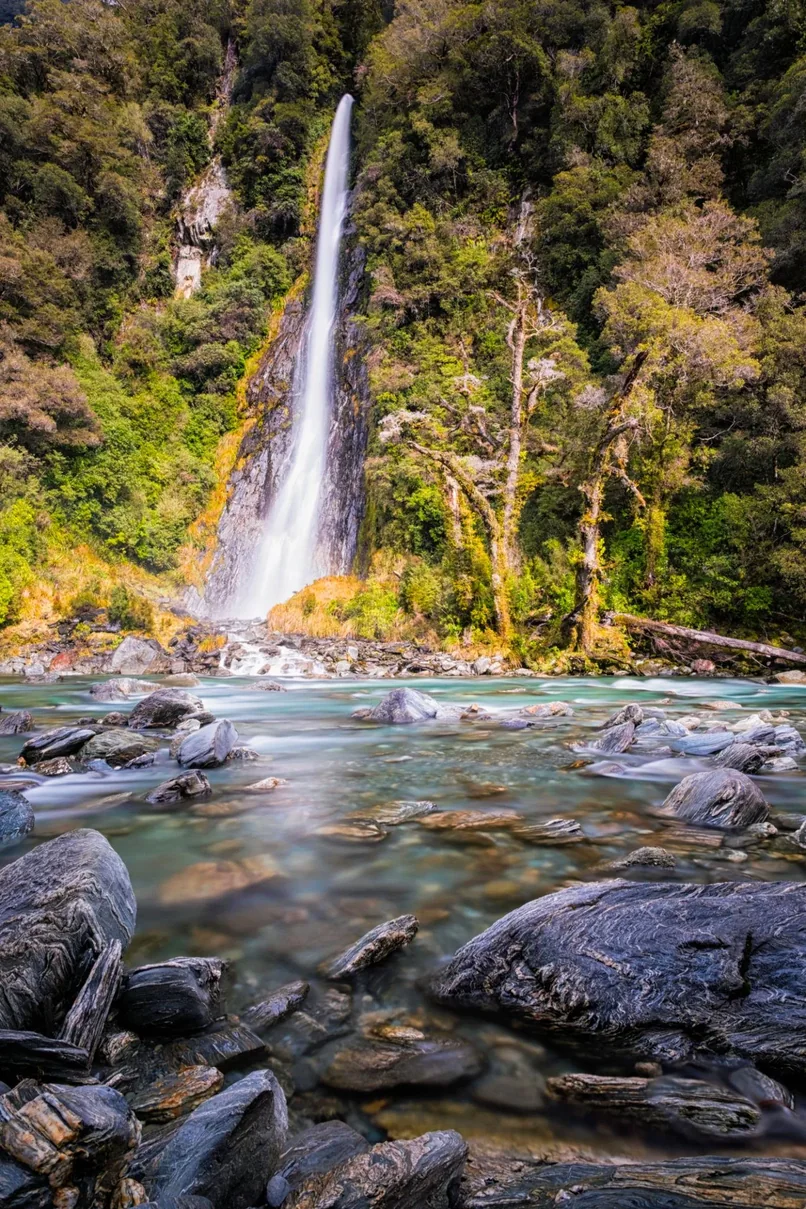 Thunder Creek Falls — the roadside stop after Haast