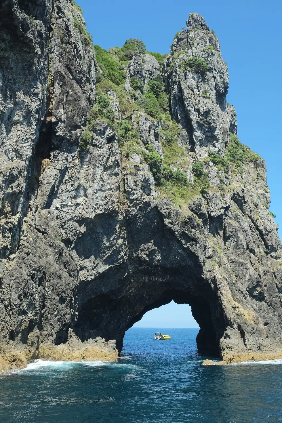 Motukōkako — the Hole in the Rock at Cape Brett