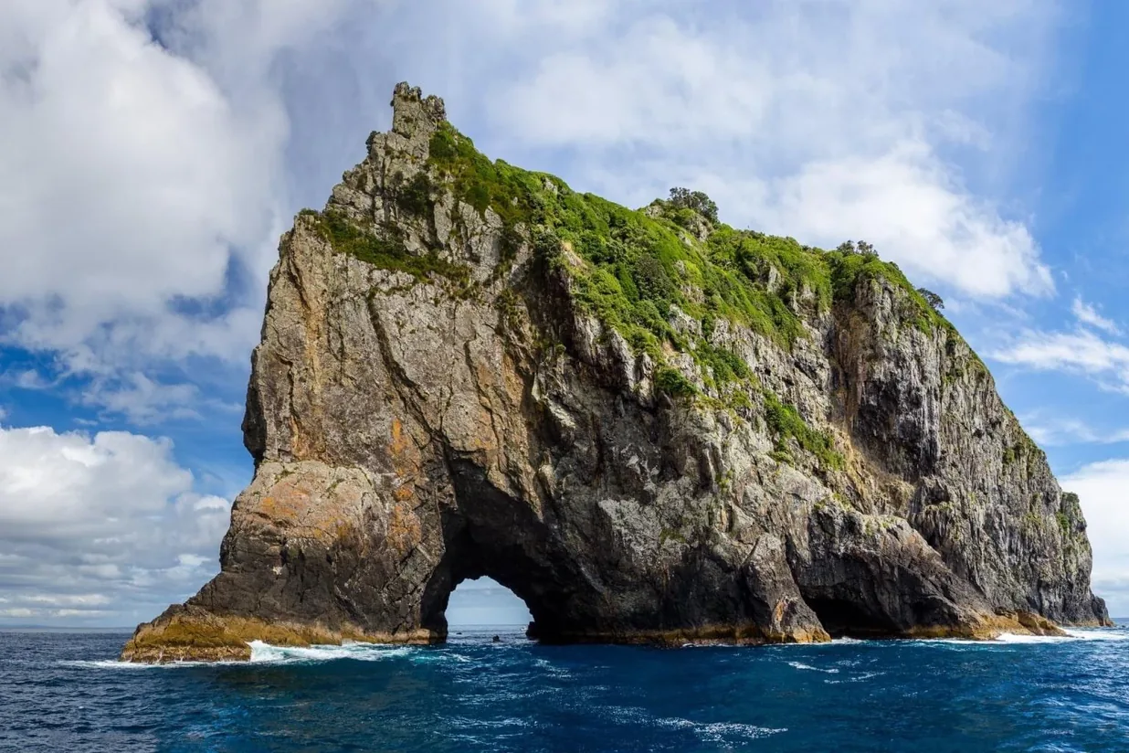 Motukōkako — the arch open to the sea at Cape Brett