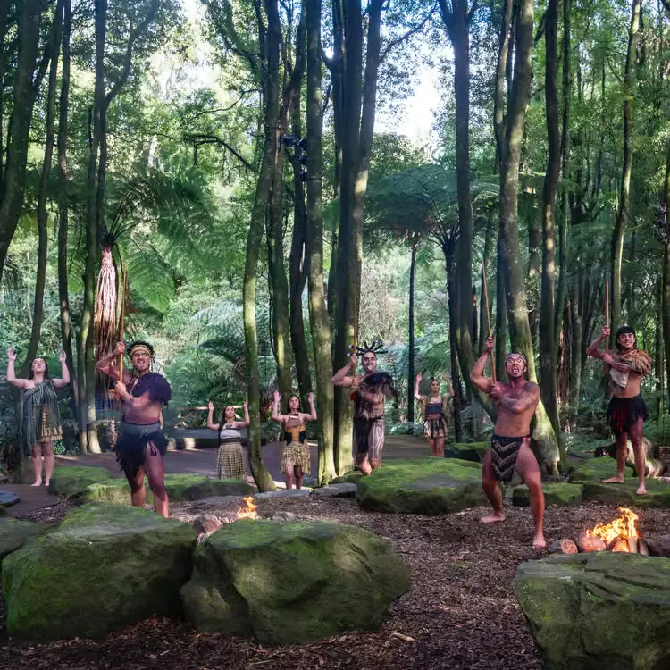 Te Pā Tū — the Māori evening, held in the forest after dark