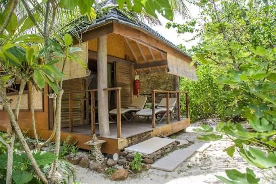 A wooden beachfront bungalow at Green Lodge, with a veranda and loungers under the palms