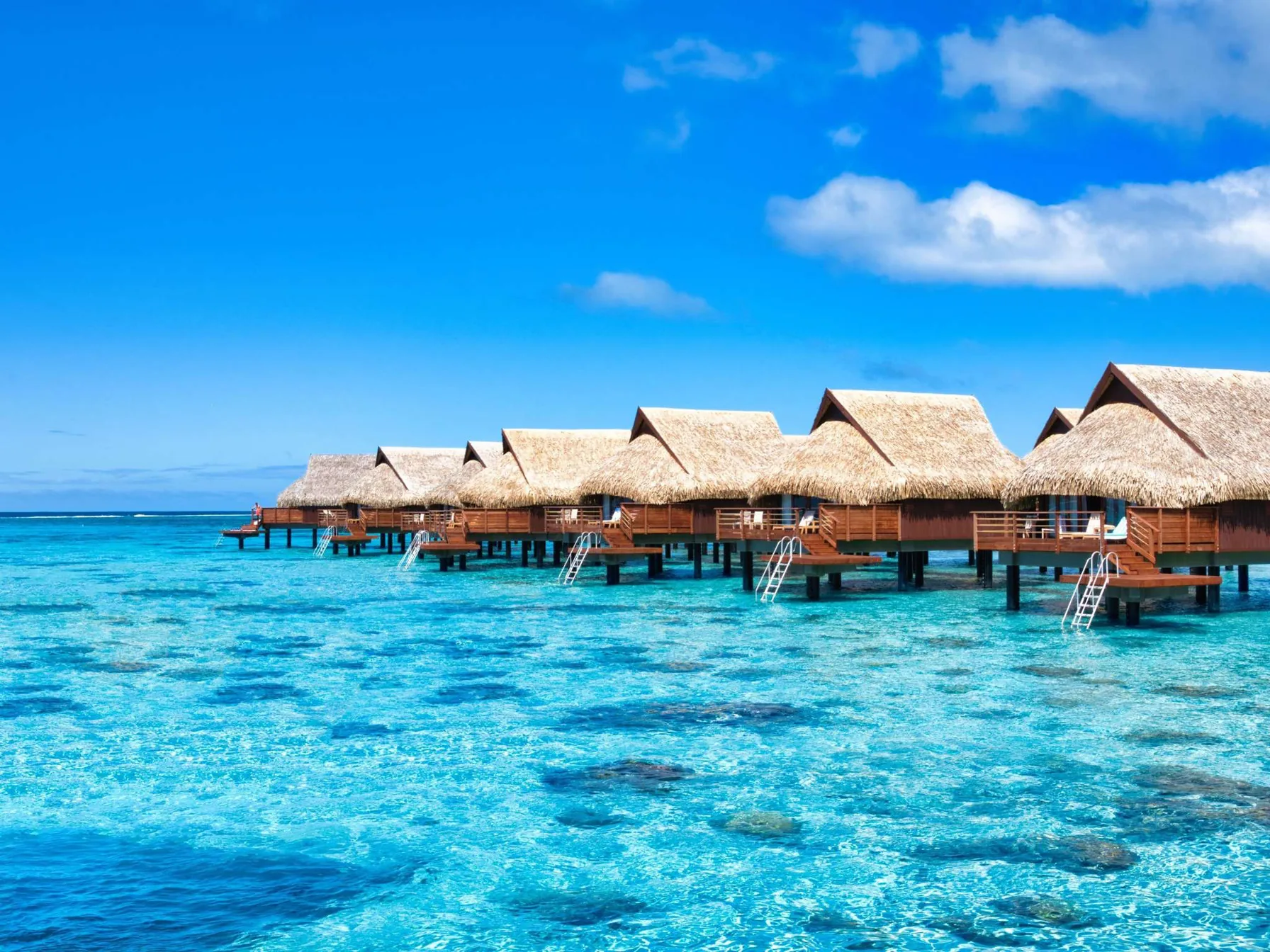 Overwater bungalows at Sofitel Kia Ora Moorea, spread along the lagoon