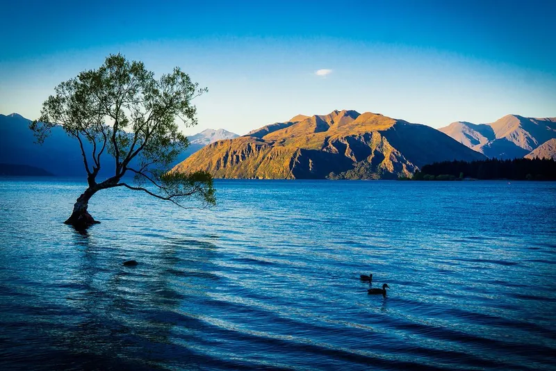 Lake Wanaka, New Zealand